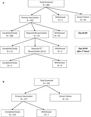 Longitudinal phase 2 clinical trials of live, attenuated tularemia vaccine in healthy research laboratory workers